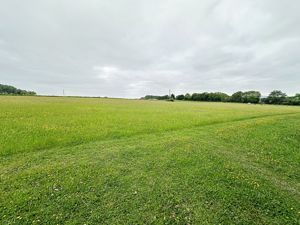 Paddock 2- click for photo gallery